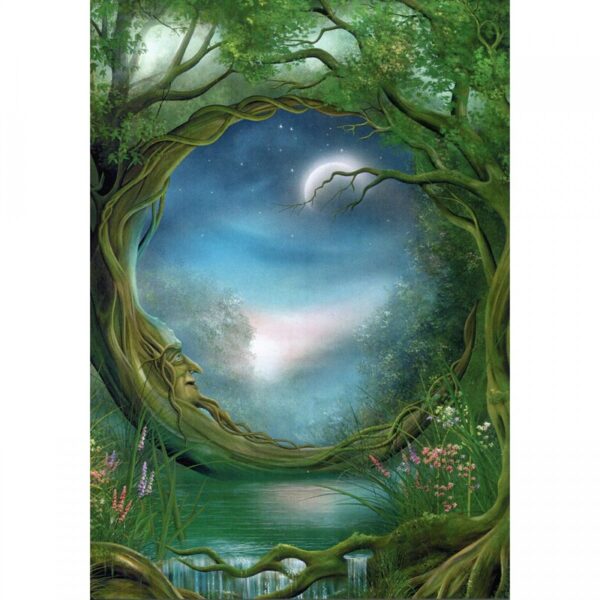 Greeting Greeting Gift Card Tree Free Day And Night