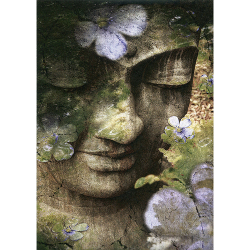 Tree Free Greeting Gift Cards Inner Tranquility