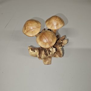 Mushroom ornament wooden carving